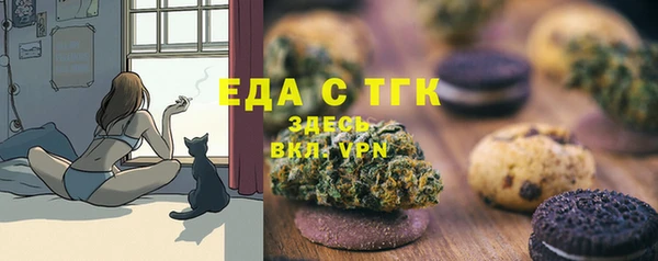 МДПВ Нея