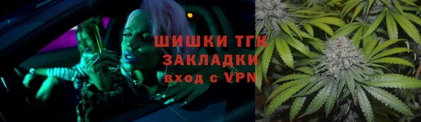 МДПВ Нея