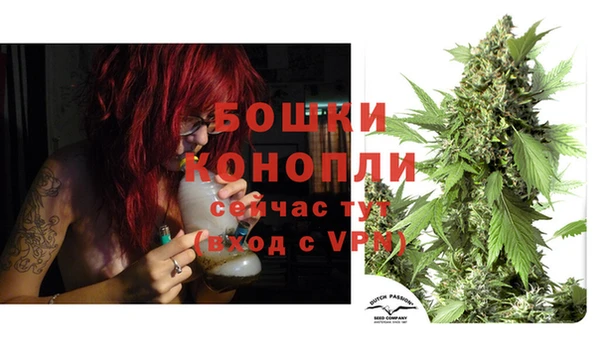 ПСИЛОЦИБИНОВЫЕ ГРИБЫ Надым