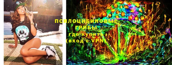 ПСИЛОЦИБИНОВЫЕ ГРИБЫ Надым