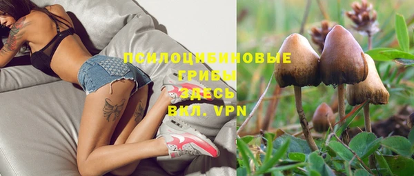 МДПВ Нея